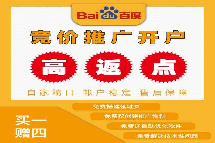 百度推广代运营公司成功案例：精准投放广告的秘诀