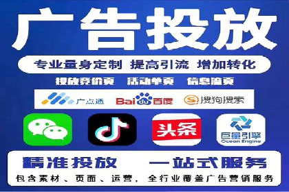 百度竞价与搜索引擎优化（SEO）的协同效应案例